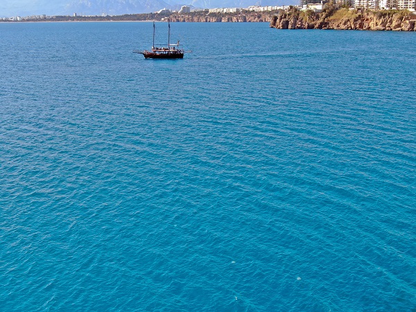 Foto - Her biri şemsiye büyüklüğünde! Bakın bunlar neymiş