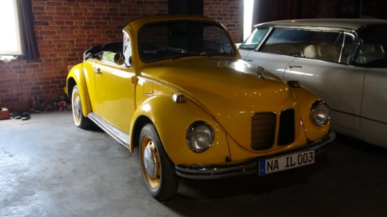 Foto - Her biri servet değerinde... 30 yıl yaşadığı ABD’den döndü, 12’sini yanında getirdi! 4 katlı evinin birinci katında saklıyor