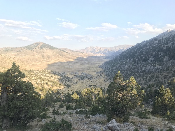 Foto - Her derde deva! Bakın o bitki nasıl toplanıyor