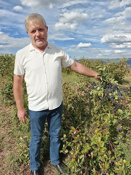 Foto - Her derde deva! Bu meyveyi evinizden eksik etmeyin