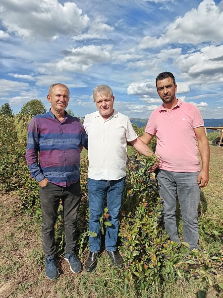 Foto - Her derde deva! Bu meyveyi evinizden eksik etmeyin