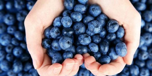 Foto - Her derde deva günde bir avuç yetiyor