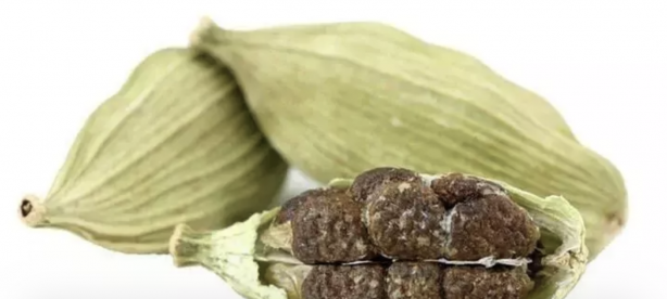 Foto - Her derde deva! İsveç'te kıymeti biliniyor Türkiye'de ise tadını bile bilen yok! Demir, sülfür, manganez, kalsiyum açısından en zengin gıda!