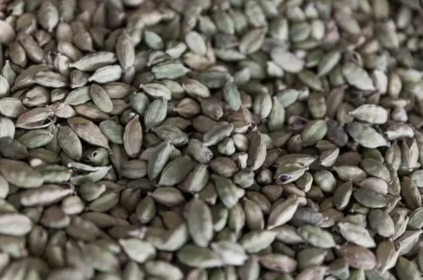 Foto - Her derde deva! İsveç'te kıymeti biliniyor Türkiye'de ise tadını bile bilen yok! Demir, sülfür, manganez, kalsiyum açısından en zengin gıda!