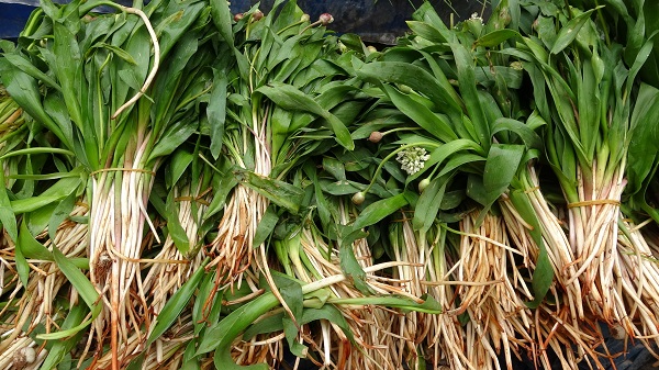 Foto - Her derde deva! Mevsimi geldi kapış kapış satılıyor