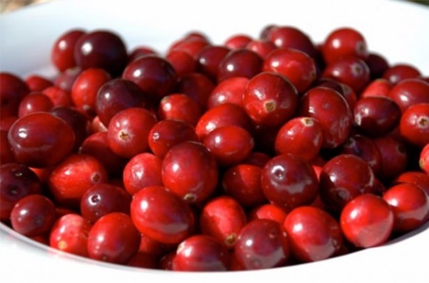 Foto - Her derde deva meyve!