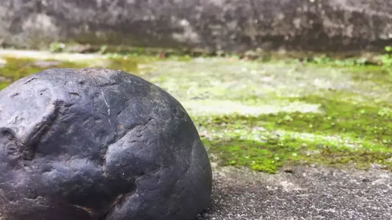 Foto - Her derde deva: Sinir sisteminden böbrek hastalıklarına hatta kansere bile şifa! Böyle fayda etti! 