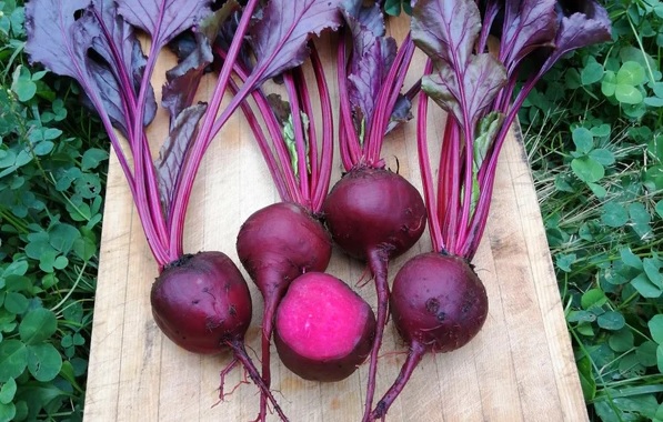 Foto - Her derde deva! Yağlarınızdan hızlıca kurtulmanın formülü