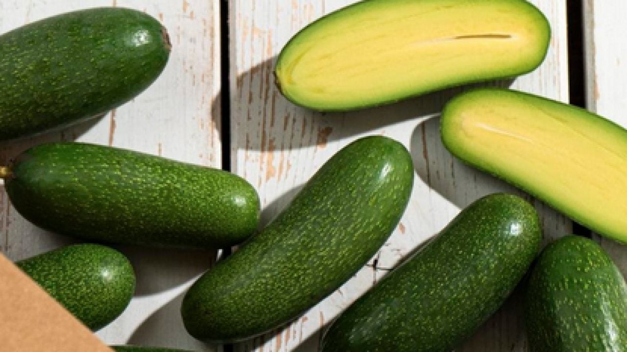 Foto - Her gün 1 avokado tüketirseniz bakın neler oluyor: Dikkat çeken araştırma!