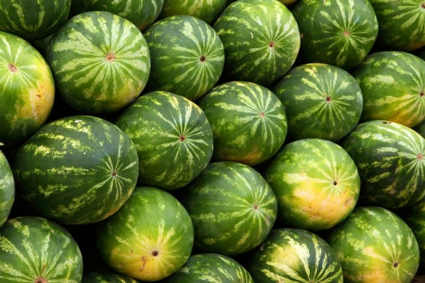 Foto - Her gün 1 dilim karpuz yerseniz! O hastalığa karşı zırh gibi koruyor! Hakkında merak edilen tüm sorular 