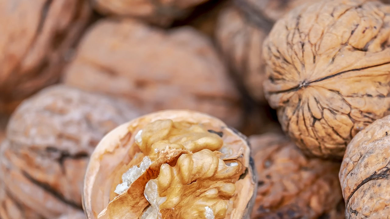 Foto - Her gün 5 tane ceviz yiyen yaşadı