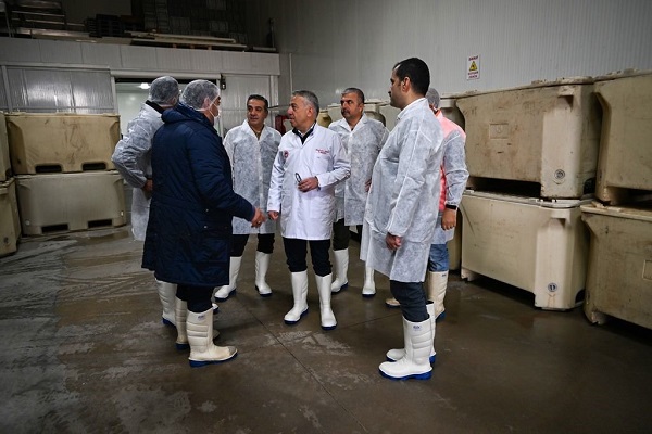 Foto - Her gün 60 ton işleniyor