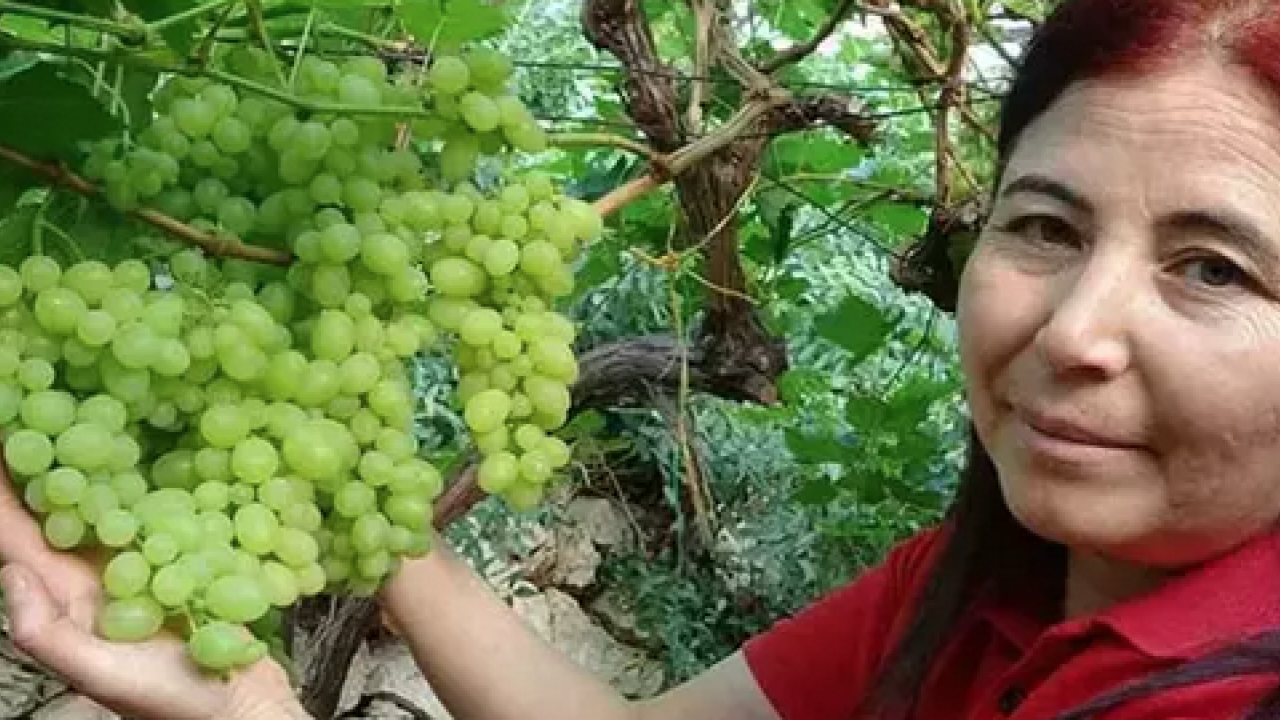 Foto - Her gün avuç avuç yiyin! B6 vitamini, potasyum, bakır, manganez ne ararsan onda! Doğal resveratrol