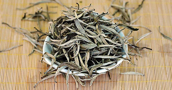 Foto - Her gün bir fincan için hayalinizdeki kiloya kavuşun