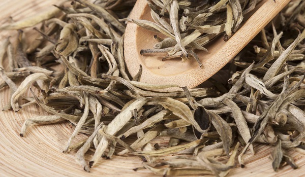 Foto - Her gün bir fincan için hayalinizdeki kiloya kavuşun