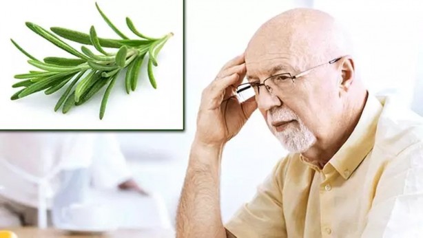 Her gün bu bitkiyi koklayanların beyni Einstein'la yarışıyor! Bilim insanları resmen duyurdu