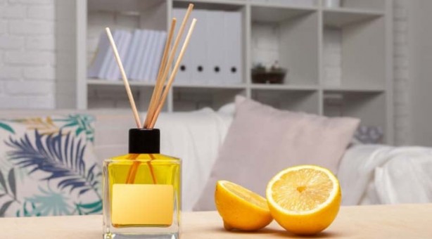 Foto - Her gün bu bitkiyi koklayanların beyni Einstein'la yarışıyor! Bilim insanları resmen duyurdu