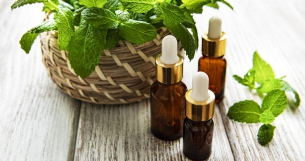 Foto - Her gün bu bitkiyi koklayanların beyni Einstein'la yarışıyor! Bilim insanları resmen duyurdu