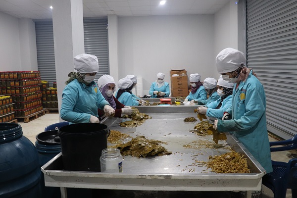 Her gün çöpe gidiyordu! Tonlarcası ziyan olmaktan kurtuldu