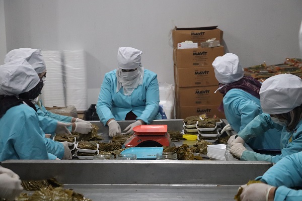 Foto - Her gün çöpe gidiyordu! Tonlarcası ziyan olmaktan kurtuldu