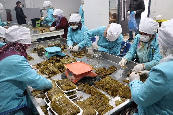 Foto - Her gün çöpe gidiyordu! Tonlarcası ziyan olmaktan kurtuldu