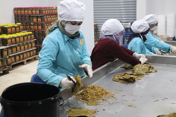 Foto - Her gün çöpe gidiyordu! Tonlarcası ziyan olmaktan kurtuldu