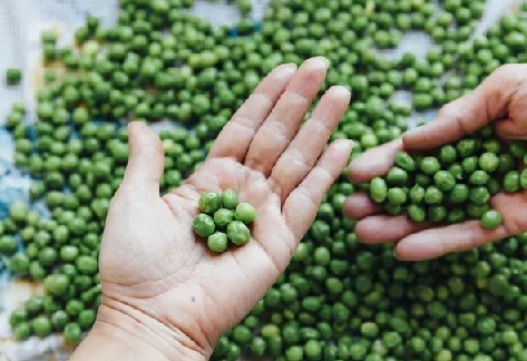 Foto - Her gün evde tüketin! Magnezyum eksikliği ortadan kalkıyor! Tahmin edilemeyecek bir sonuç 'pes' dedirtti