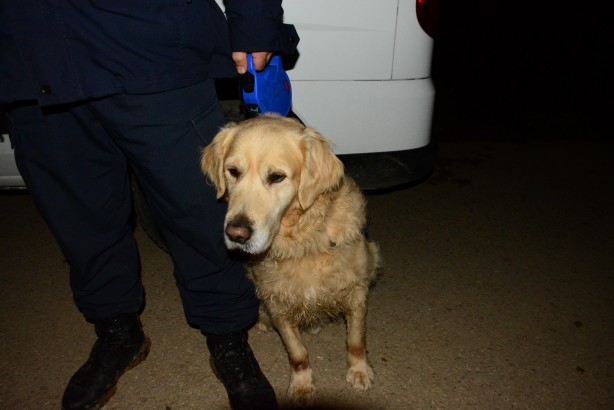 Foto - Her gün gittiği fındıklıktan dönmeyince ekipler seferber oldu