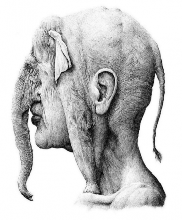 Her gün iki kaşık tüketin, fil hafızasına sahip olun! Mucizevi bitki meğer elimizin altındaymış