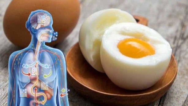 Her gün iki yumurta yerseniz bakın ne oluyormuş! Bilimsel olarak kanıtlandı! Gözlerinize inanamayacaksınız