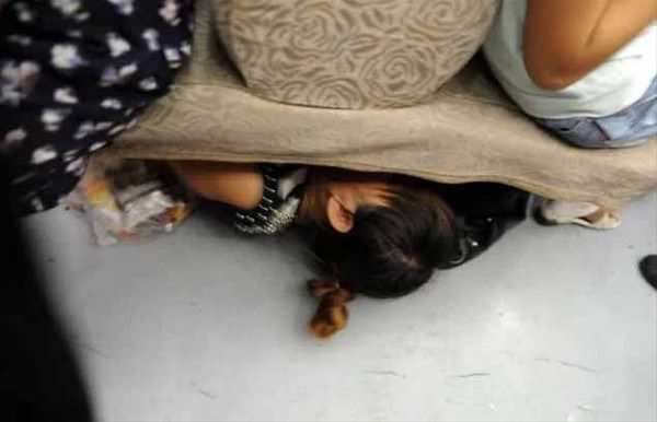 Her gün işlerine böyle gidiyorlar