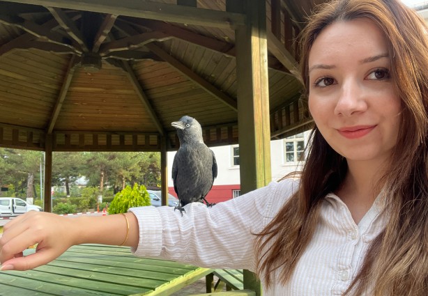 Foto - Her gün mesai yapan karga dikkat çekti!