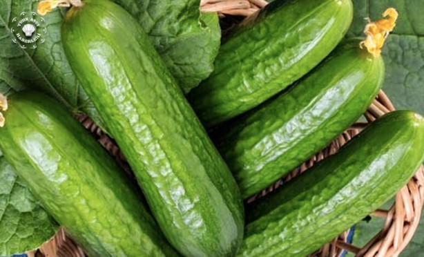 Foto - Her gün salatalık yemek için 10 sebep! Kanser ve diyabete karşı koruyor