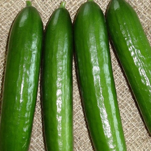 Foto - Her gün salatalık yemek için 10 sebep! Kanser ve diyabete karşı koruyor