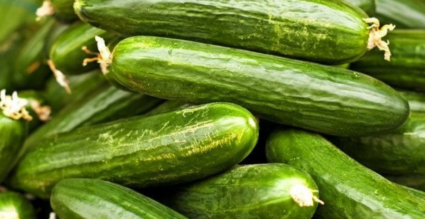 Foto - Her gün salatalık yemek için 10 sebep! Kanser ve diyabete karşı koruyor