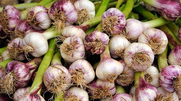 Foto - Her gün tüketsek de bilmiyoruz! Uzman yorumuyla her derde deva denilen 6 besin