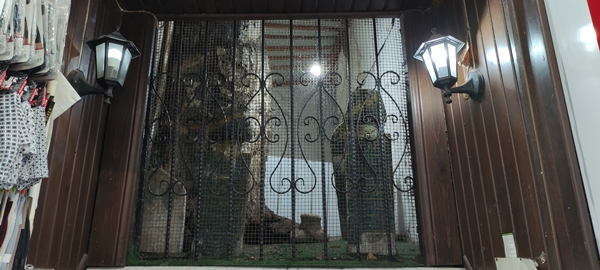 Foto - Her gün yanından binlerce insan geçiyor ama kimse fark etmiyor!