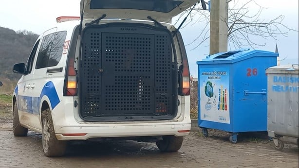 Her gün yeni bir vaka! Laikçi yaşam biçimi dehşeti yaşattı
