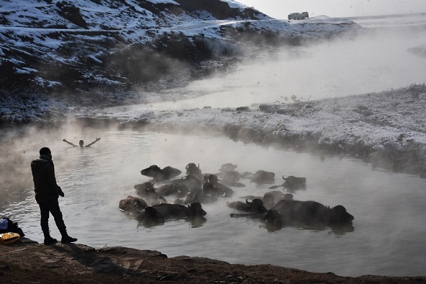 Foto - Her kış akın akın insan geliyor! Bu kareler herkesi şaşırtıyor