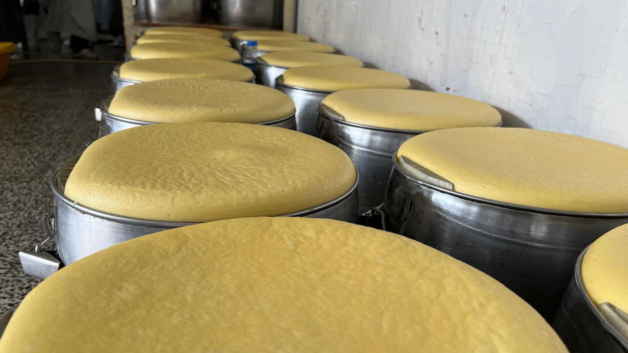 Her lokması 1 yıllık emek! Kars'ta yapılıyor tüm Türkiye'de kapış kapış satılıyor