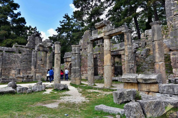 Foto - Her metrekaresi altın değerinde! Simsiyah oldu