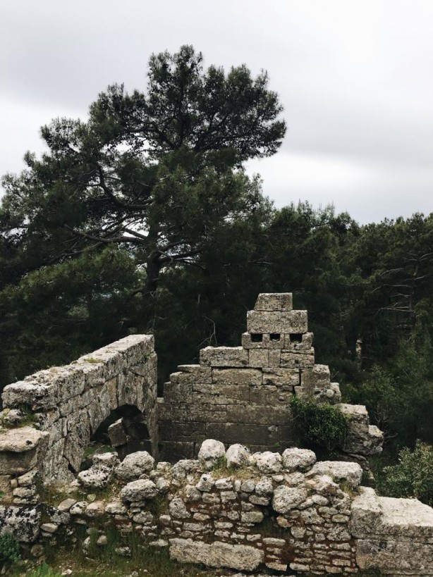 Foto - Her metrekaresi altın değerinde! Simsiyah oldu
