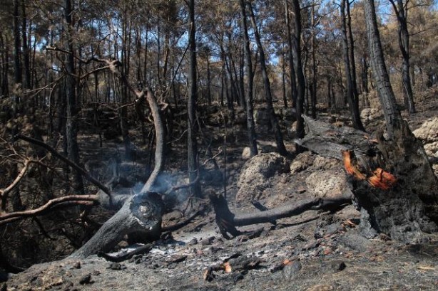Foto - Her metrekaresi altın değerinde! Simsiyah oldu
