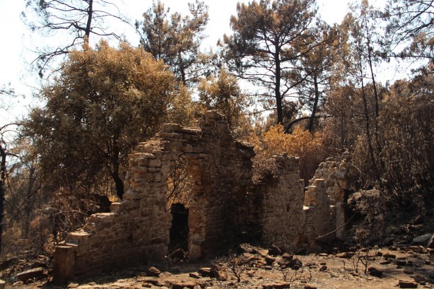 Foto - Her metrekaresi altın değerinde! Simsiyah oldu