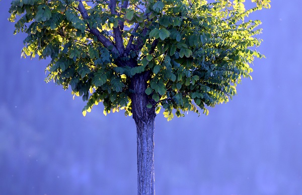 Foto - Her mevsim ayrı güzel! Kartpostallık görüntü hayran bıraktı