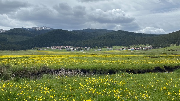 Foto - Her mevsim ayrı güzel: Sarıalan