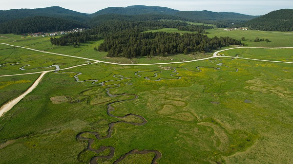 Her mevsim ayrı güzel: Sarıalan