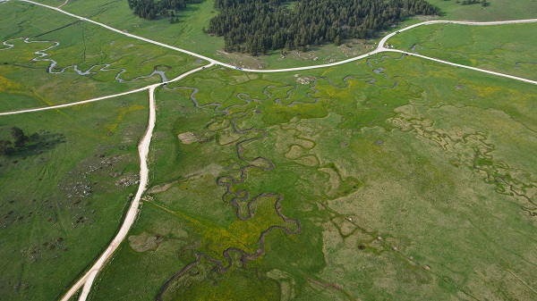 Foto - Her mevsim ayrı güzel: Sarıalan