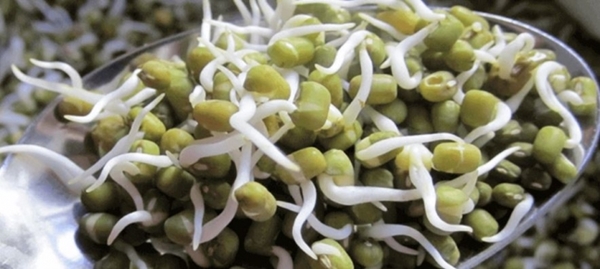 Foto - Her mutfakta bulunmayan 11 şifa kaynağı