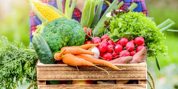 Foto - Her sağlık sorununa yardımcı! İşte quercetin içeren 5 besin